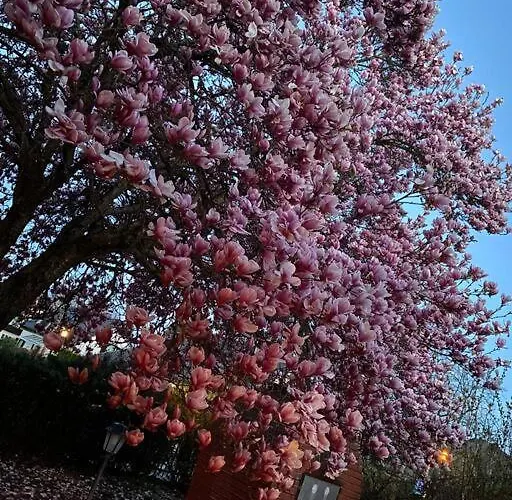 Seenahes Haus Mit Hot Tub Krumpendorf